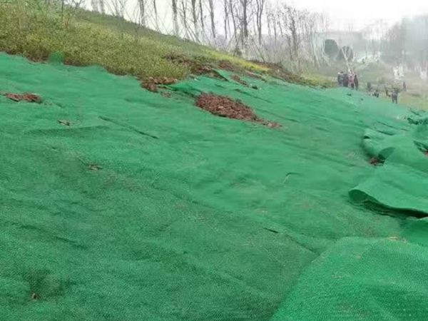 三維網墊施工